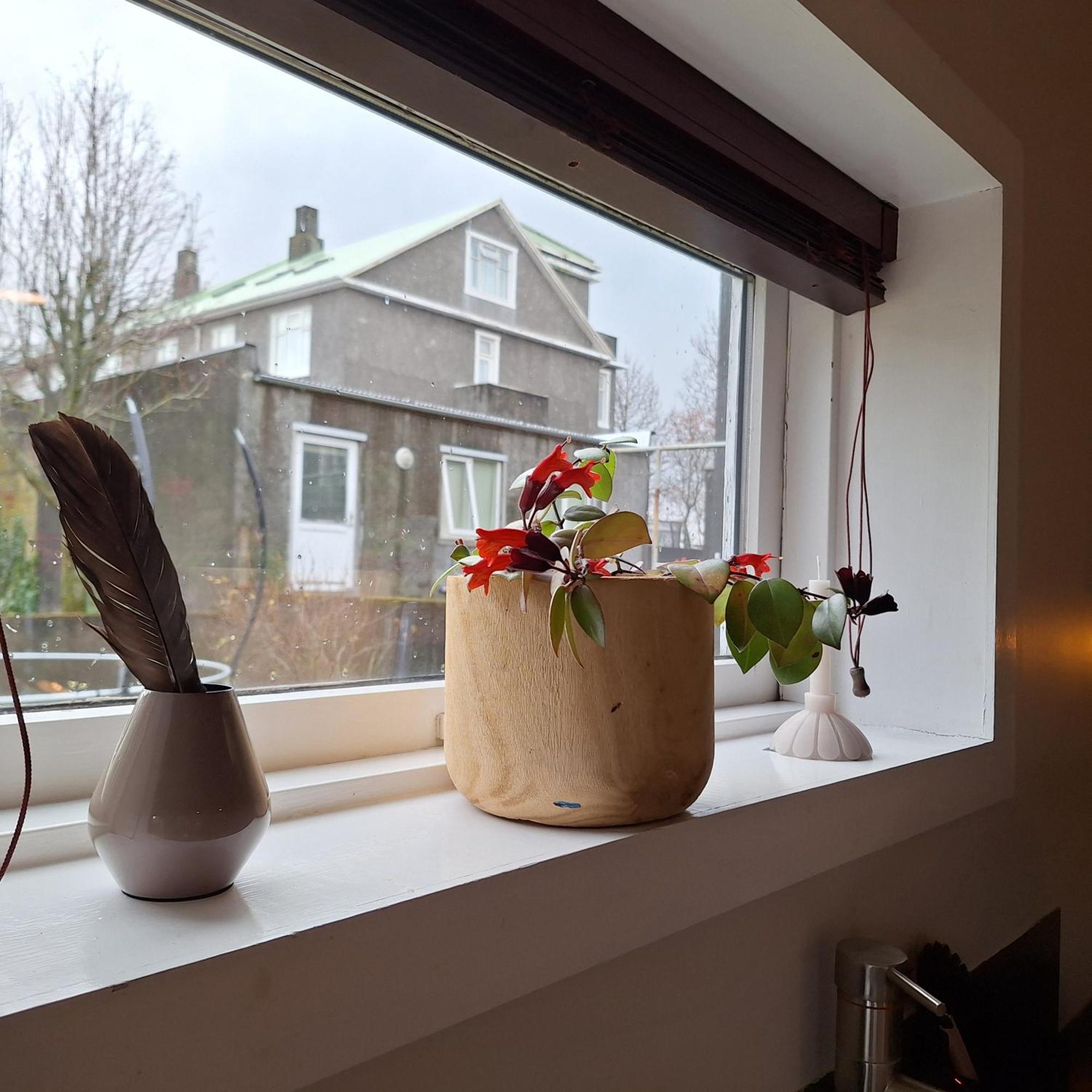 Apartment - Garden Reykjavik